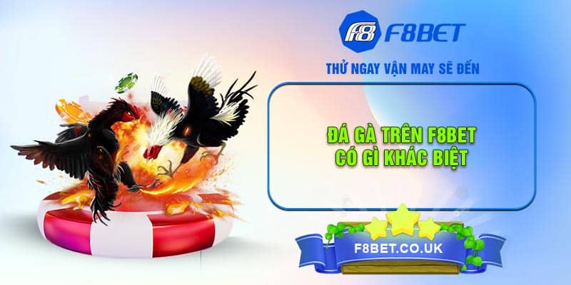 Đá gà trên F8bet có gì khác biệt