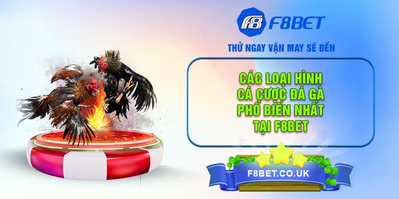 Các loại hình cá cược đá gà phổ biến nhất tại F8bet
