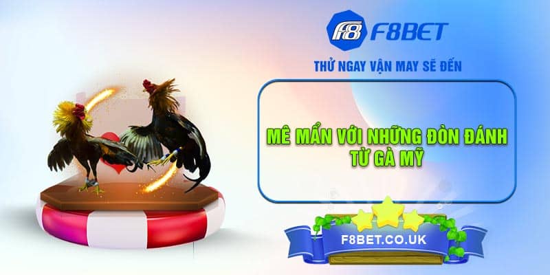 Mê mẩn với những đòn đánh từ gà Mỹ