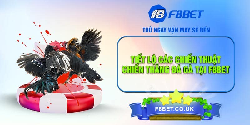 Tiết lộ các chiến thuật chiến thắng đá gà tại F8bet