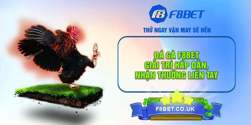 Đá Gà F8bet - Giải Trí Hấp Dẫn, Nhận Thưởng Liền Tay